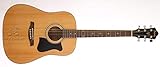 Ibanez V50NJP-NT Chitarra, Naturale