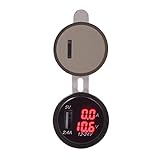 Okuyonic Ricambio Robusto 23,6 Pollici Display Digitale per Auto Professionale Voltaggio...