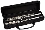 Cherrystone – 4260180880779 Flauto Traverso in Argento con custodia 6456
