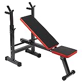 LUXTRI Panca per pesi pieghevole per max 230kg Panca fitness 2in1 inclinata e piana Porta bilanciere