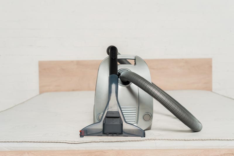 aspirapolvere ciclonico Rowenta efficace