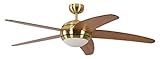 Pepeo Melton Ventilatore da Soffitto 13422010132_v1 con Telecomando Incluso, Rivestimento di Color...