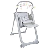 Chicco Polly Magic Relax Seggiolone Pappa per Bambini 0 Mesi-3 Anni (15 kg), Regolabile con 4 Ruote,...
