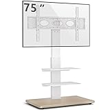 RFIVER Supporto TV da Pavimento Porta TV da Terra per Schermo 32-75 Pollici LCD/LED/Plasma, Supporto...