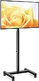 AM alphamount Supporto TV da Pavimento per TV Piatte e Curve da 13-50 Pollici Fino a 44 libre,...
