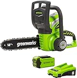 Greenworks G40CS30 Motosega a Batteria, Lunghezza Barra 30cm, Velocità Catena 4,2m/s, 3,7kg,...