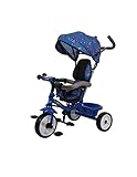Colibrì Triciclo Bambini 1 anno Passeggino Fronte Mamma e Strada Leggero | Triciclo Regolabile...