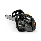 Alpina Motosega da potatura APR 25 (10)’’, Barra di taglio 25 cm (10’’), Motore a scoppio...