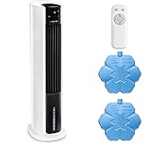TROTEC Aircooler PAE 30 raffrescatore d'aria 3 in 1 ventilatore condizionatore d'aria mobile...