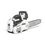 Alpina Motosega a Scoppio AC 27 T, 26.9 cc, Bianco, Lunghezza della Barra 25 cm (10”)