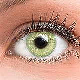 GLAMLENS Lenti a contatto colorate verdi Light Green - mensili - con porta lenti a contatto - verde...
