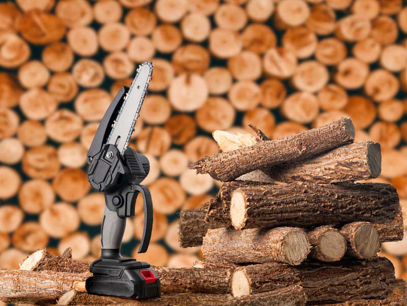 motosega a batteria migliore 