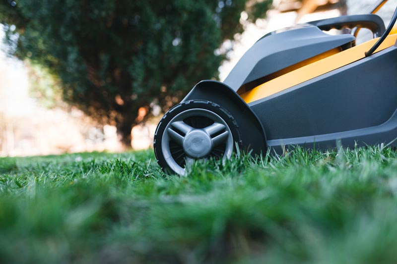 tagliaerba alpina elettrico